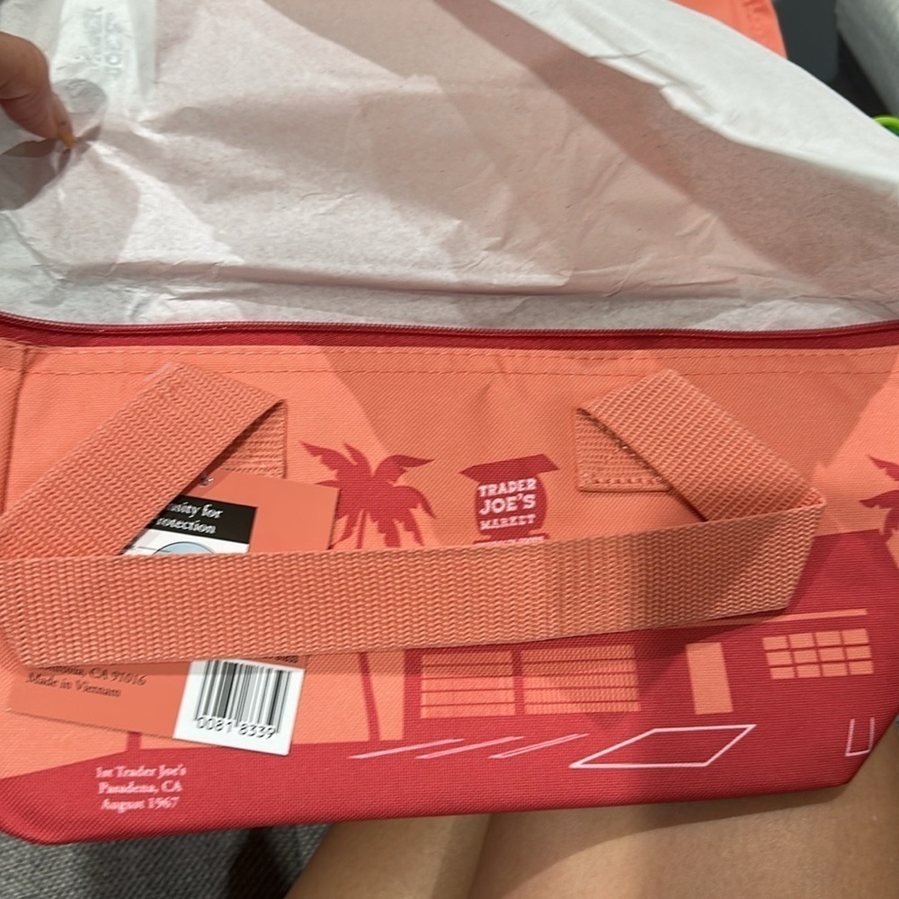 Nwt Trader Joe Colorful Insulated Lunch Bag - Picture 2 of 2